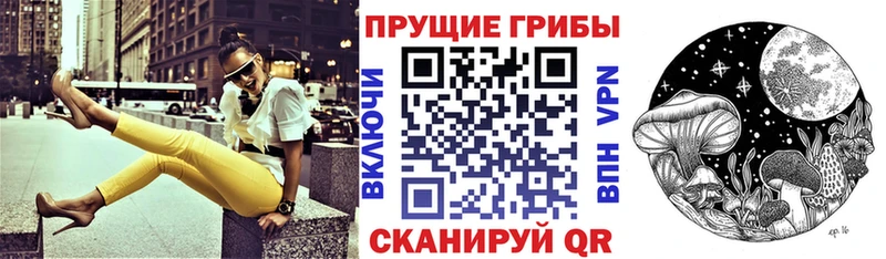 площадка состав  Пущино  Галлюциногенные грибы прущие грибы  что такое  